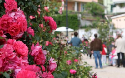 Primavera a Trieste