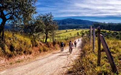 Visitare Trieste e il Carso in bicicletta