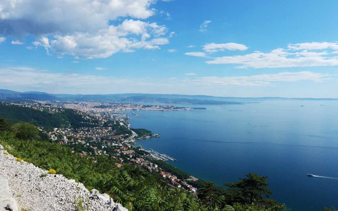 Experiences between the sea and nature, where Trieste begins.