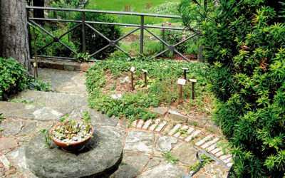 Orto Botanico di Trieste: una pausa rigenerante in città